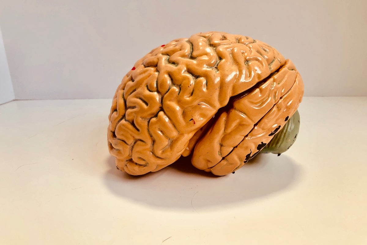 Understanding Traumatic Brain Injury